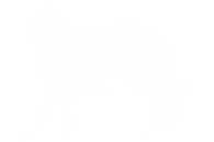 Logo PNG Blanc BD.png
